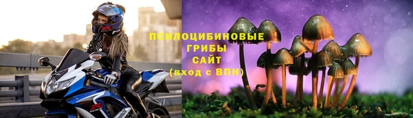 дживик Баксан