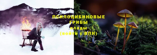 герыч Арсеньев