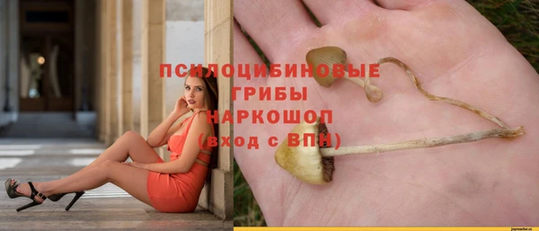 твердый Балахна