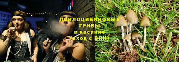 мяу мяу мука Аркадак