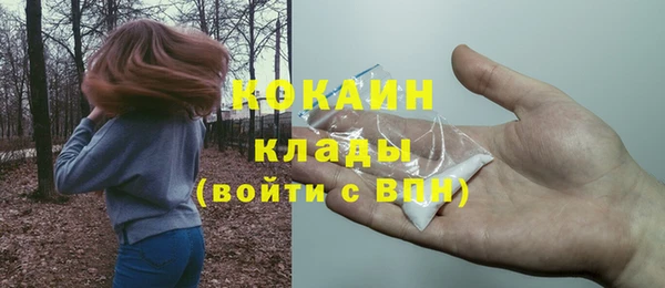 герыч Арсеньев