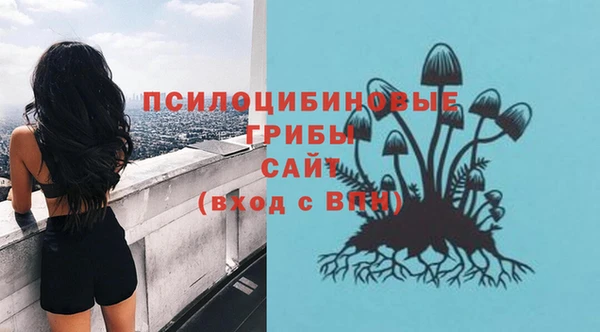 твердый Балахна