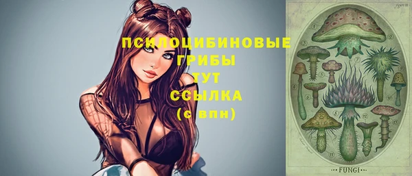 мяу мяу мука Аркадак