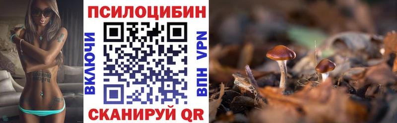 Купить где  Волосово  Галлюциногенные грибы Psilocybe 